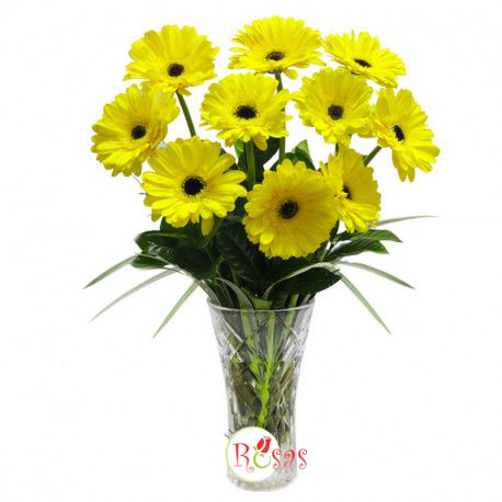 gerberas archivos - Florería Rosas Cusco | Arreglos funebres | Floristeria  Delivery